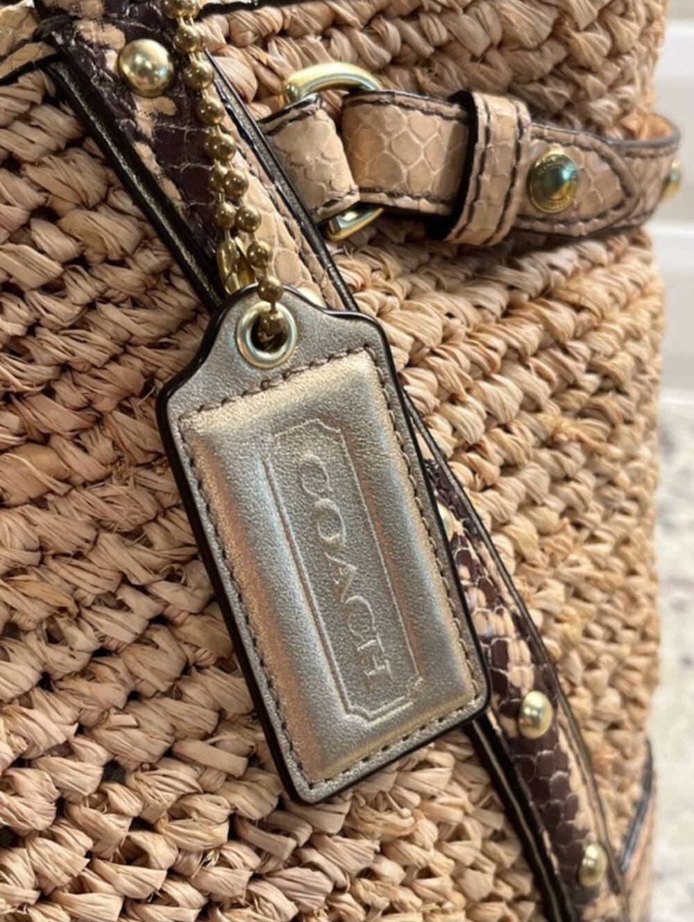 Coach Natalie Python & Raffa Tote - Picture 7 of 16